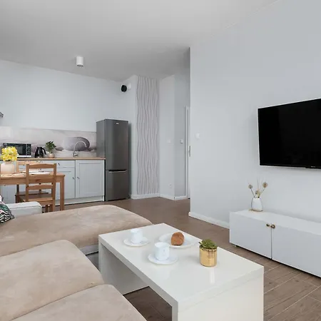 Apartment Przestronny Apartament Z Tarasem Lodz Borowieckiego 1 By Heyrent Lodz